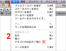 Safari 4 の場合