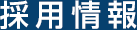 採用情報
